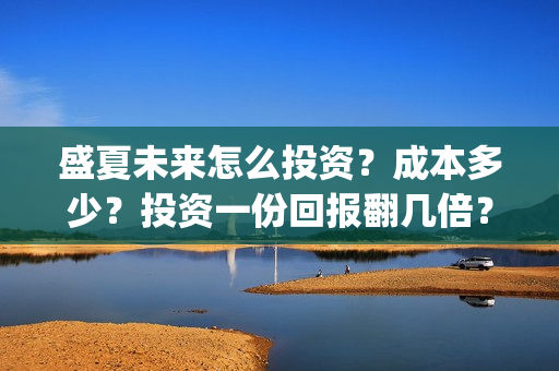 盛夏未来怎么投资？成本多少？投资一份回报翻几倍？(盛夏未来怎么买票)