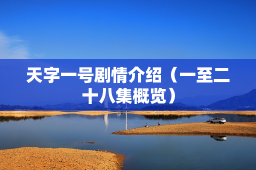 天字一号剧情介绍(一至二十八集概览) 天字一号剧情介绍(一至二十八集概览)