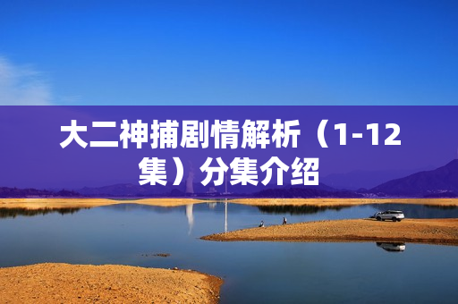 大二神捕剧情解析（1-12集）分集介绍