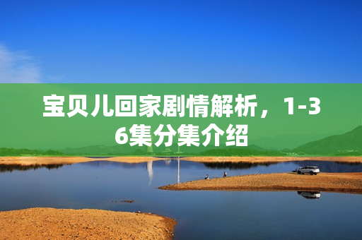 宝贝儿回家剧情解析，1-36集分集介绍