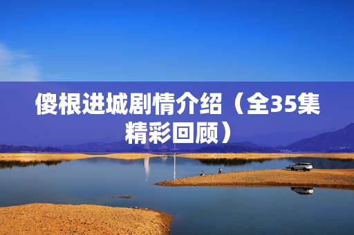 傻根进城剧情介绍（全35集精彩回顾）