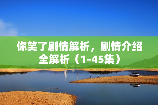 你笑了剧情解析，剧情介绍全解析（1-45集）