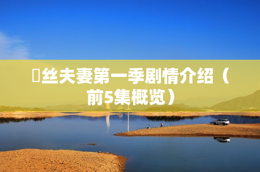 屌丝夫妻第一季剧情介绍（前5集概览）