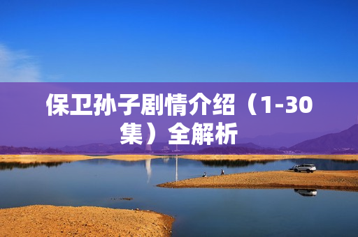 保卫孙子剧情介绍（1-30集）全解析