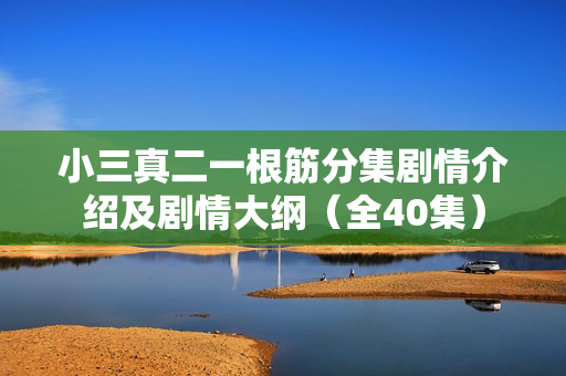 小三真二一根筋分集剧情介绍及剧情大纲（全40集）