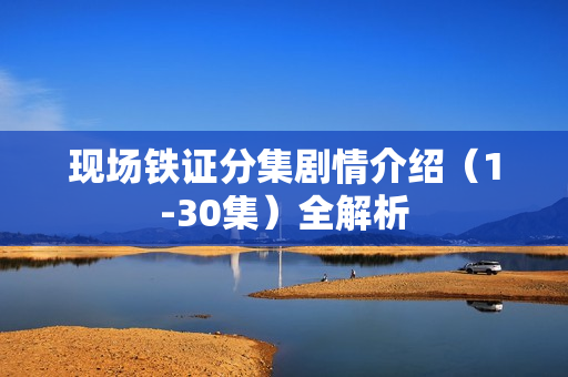 现场铁证分集剧情介绍（1-30集）全解析