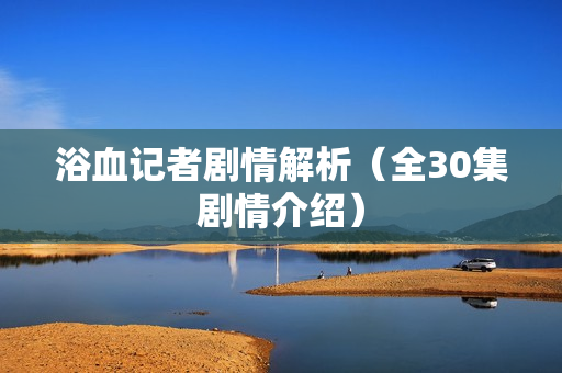 浴血记者剧情解析（全30集剧情介绍）