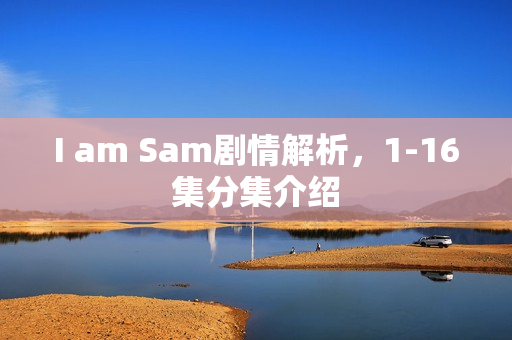 I am Sam剧情解析，1-16集分集介绍