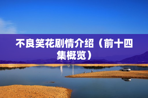 不良笑花剧情介绍（前十四集概览）