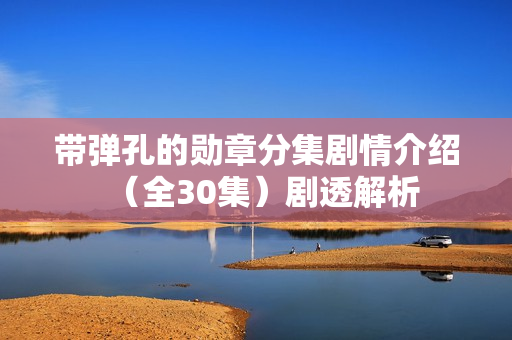 带弹孔的勋章分集剧情介绍（全30集）剧透解析