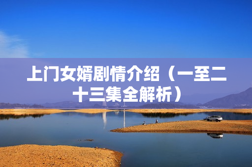 上门女婿剧情介绍（一至二十三集全解析）