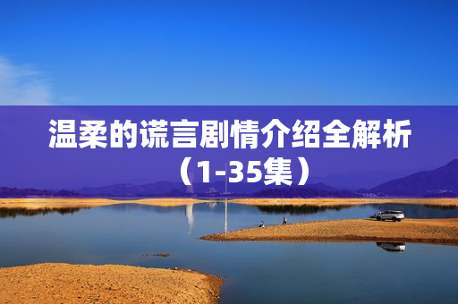 温柔的谎言剧情介绍全解析（1-35集）