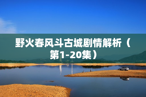 野火春风斗古城剧情解析（第1-20集）