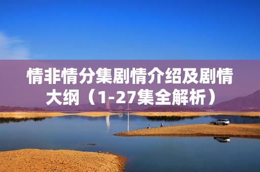 情非情分集剧情介绍及剧情大纲（1-27集全解析）