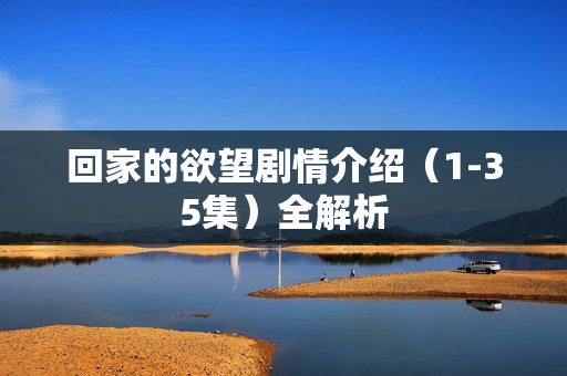 回家的欲望剧情介绍（1-35集）全解析