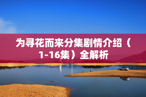为寻花而来分集剧情介绍（1-16集）全解析