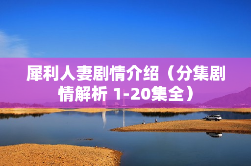 犀利人妻剧情介绍（分集剧情解析 1-20集全）