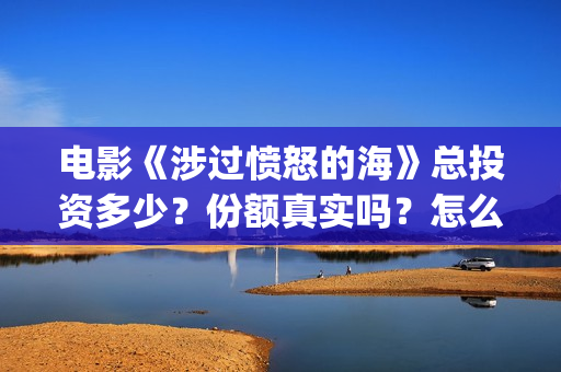电影《涉过愤怒的海》总投资多少？份额真实吗？怎么参与投资？成本多少？(电影涉过愤怒的海演员表)