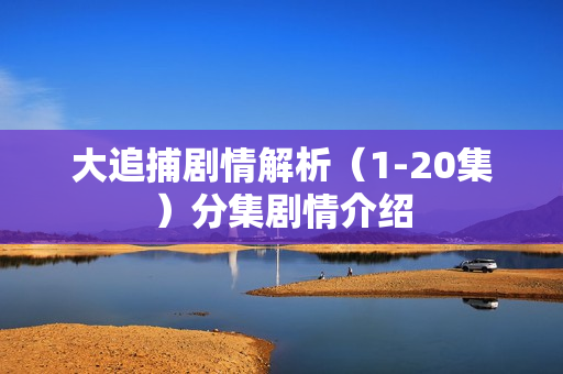 大追捕剧情解析(1-20集)分集剧情介绍 大追捕剧情解析(1-20集)分集剧情介绍