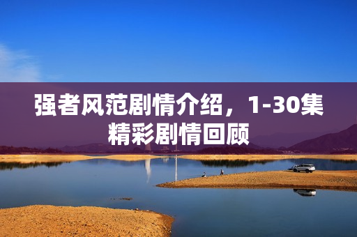 强者风范剧情介绍,1-30集精彩剧情回顾 强者风范剧情介绍,1-30集精彩剧情回顾