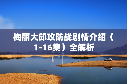 梅丽大邱攻防战剧情介绍（1-16集）全解析