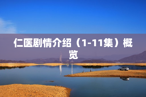 仁医剧情介绍（1-11集）概览