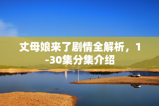 丈母娘来了剧情全解析，1-30集分集介绍