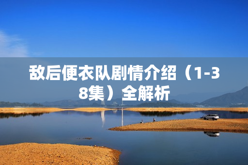 敌后便衣队剧情介绍（1-38集）全解析