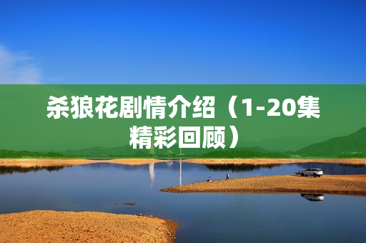 杀狼花剧情介绍（1-20集精彩回顾）