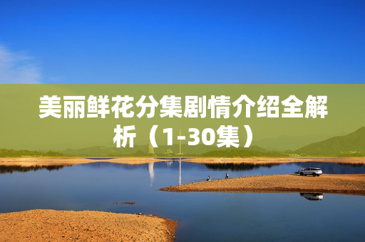 美丽鲜花分集剧情介绍全解析（1-30集）