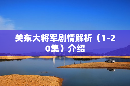 关东大将军剧情解析（1-20集）介绍