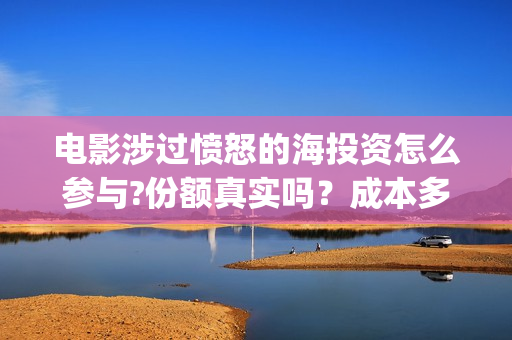 电影涉过愤怒的海投资怎么参与?份额真实吗？成本多少？(电影涉过愤怒的海演员表)