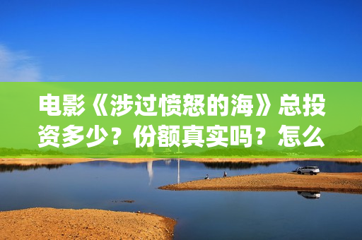 电影《涉过愤怒的海》总投资多少？份额真实吗？怎么参与投资？成本多(电影《涉过愤怒的海》免费观看)