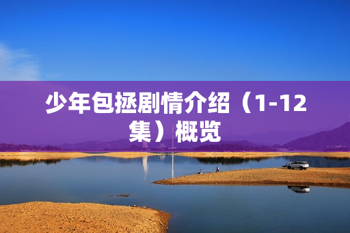 少年包拯剧情介绍(1-12集)概览 少年包拯剧情介绍(1-12集)概览