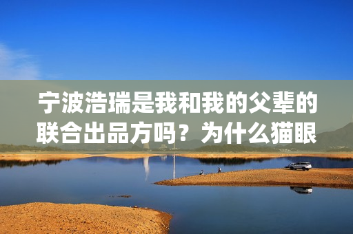 宁波浩瑞是我和我的父辈的联合出品方吗？为什么猫眼上没有？(宁波浩瑞气动)
