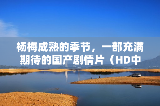杨梅成熟的季节，一部充满期待的国产剧情片（HD中英双字）