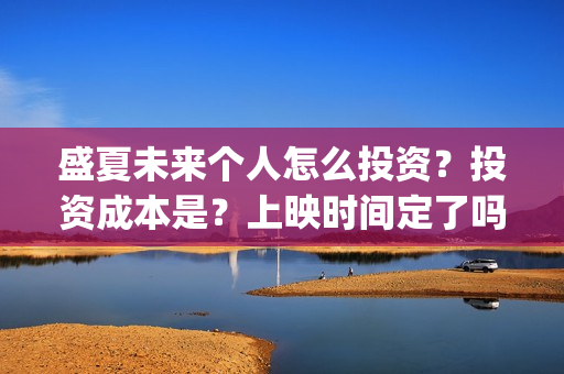 盛夏未来个人怎么投资？投资成本是？上映时间定了吗？(盛夏未来hey siri)
