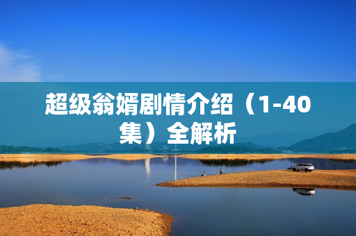 超级翁婿剧情介绍（1-40集）全解析