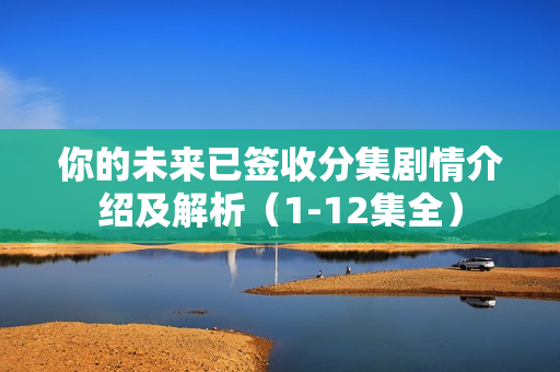 你的未来已签收分集剧情介绍及解析（1-12集全）
