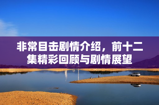非常目击剧情介绍,前十二集精彩回顾与剧情展望 非常目击剧情介绍,前十二集精彩回顾与剧情展望
