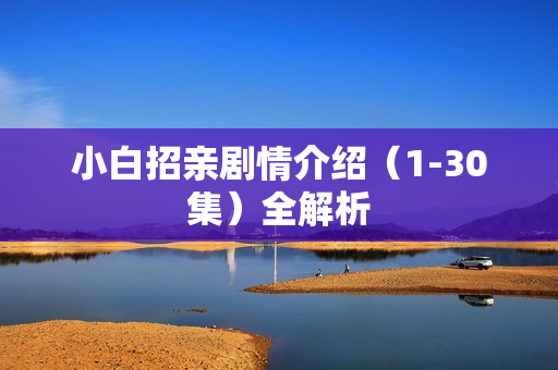 小白招亲剧情介绍（1-30集）全解析