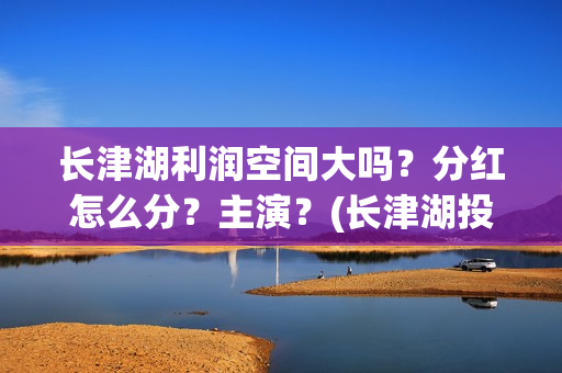 长津湖利润空间大吗？分红怎么分？主演？(长津湖投资收益有多少)