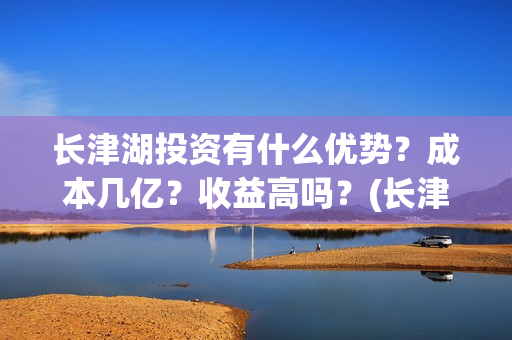 长津湖投资有什么优势？成本几亿？收益高吗？(长津湖的投资)