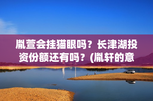 胤萱会挂猫眼吗？长津湖投资份额还有吗？(胤轩的意思)