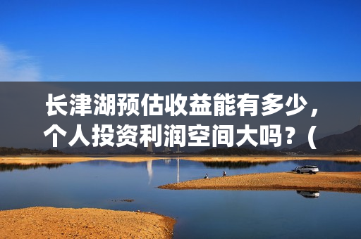 长津湖预估收益能有多少，个人投资利润空间大吗？(长津湖利好)