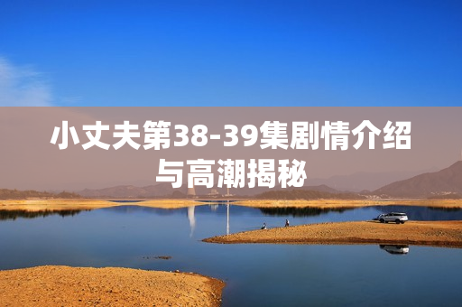 小丈夫第38-39集剧情介绍与高潮揭秘