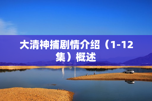 大清神捕剧情介绍（1-12集）概述
