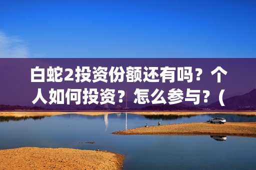 白蛇2投资份额还有吗？个人如何投资？怎么参与？(白蛇2亏本了吗)