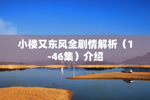 小楼又东风全剧情解析（1-46集）介绍