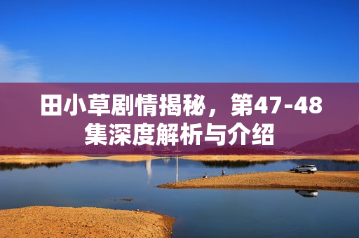 田小草剧情揭秘，第47-48集深度解析与介绍